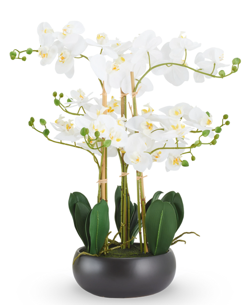 Künstliche Orchidee Real Touch 50 cm weiß im schwarzen Topf: Eine künstliche weiße Real Touch Orchidee mit grünen Blättern in einem runden schwarzen Topf.