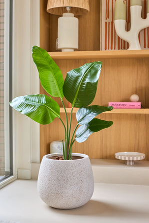 Eine 90 cm große künstliche Strelitzia-Pflanze mit naturgetreuem Aussehen und großen grünen Blättern steht auf einer Fensterbank vor Holzregalen, die mit Büchern, Keramik und kleinen Dekorationsgegenständen dekoriert sind.