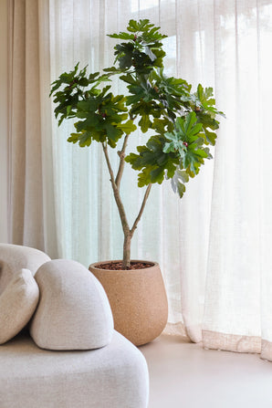 Ein 180 cm hoher künstlicher Feigenbaum Ficus Carica mit leuchtend grünen Blättern steht in der Nähe eines Fensters mit weißen, durchsichtigen Vorhängen, neben einem hellbeigen, modernen, geschwungenen Sofa.