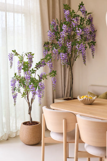 Zwei 150 cm große künstliche Glyzinien mit ihren überhängenden violetten Blüten stehen neben einem Esstisch aus Holz mit hellen Stühlen. Sanftes natürliches Licht scheint durch die durchscheinenden Vorhänge hinter den Pflanzen.