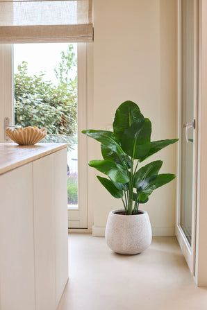 Eine künstliche Strelitzia Real Touch Deluxe-Pflanze von 120 cm in sattem Grün steht auf einem hellen Boden neben einer Glastür in einem hellen, modernen Raum mit neutralen Wänden und einer Holztheke.
