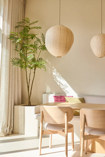 Ein heller, minimalistischer Wohnraum mit Holzstühlen, einem weißen Sofa mit bunten Kissen, großen Fenstern mit Vorhängen, zwei runden Papierlaternen-Hängelampen und der Kunstpflanze Mahonia von 210 cm, die für einen Hauch von Grün sorgt. Das Sonnenlicht wirft Schatten auf die Wände.