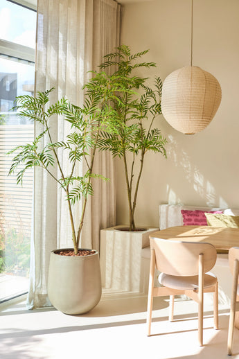 Ein heller Essbereich mit der Kunstpflanze Mahonia 210 cm, einer großen Topfpflanze, einem Holztisch und Stühlen, einer Papierlaterne und durchscheinenden Vorhängen, die natürliches Sonnenlicht hereinlassen. Auf einem Einbausofa liegen rosa Kissen.