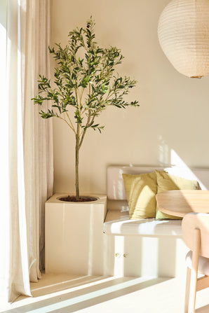 Der 150 cm große künstliche Olivenbaum steht neben einer weißen Bank mit grünen und beigen Kissen, neben einem runden Holztisch und einer hängenden Papierlampe in einem sonnendurchfluteten, minimalistischen Raum.