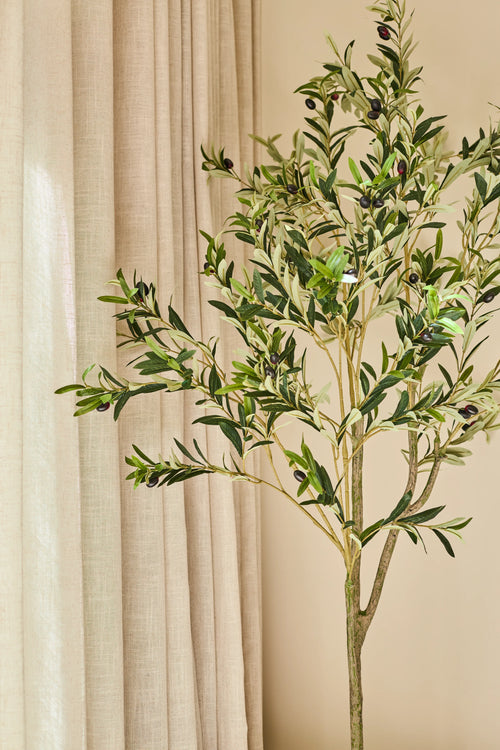 Der 180 cm große künstliche Olivenbaum mit üppigen grünen Blättern und realistischen schwarzen Oliven steht vor beigen Vorhängen und einer neutralen Wand. Sonnenlicht erleuchtet die Szene sanft und verleiht dem Raum einen Hauch von mediterranem Stil.