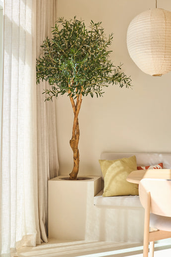 Ein 190 cm großer künstlicher Olivenbaum mit schlanken Zweigen steht neben einem weißen, gepolsterten Sofa mit pastellfarbenen Kissen, fast durchsichtigen Vorhängen und einer runden Papierlaterne in einem hellen, modernen Raum – eine pflegeleichte Pflanze, die für langanhaltendes Grün sorgt, ohne viel Pflege zu erfordern.