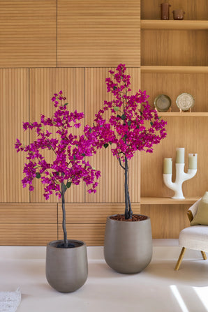 Zwei künstliche Bougainvilleen in Lila, 150 cm, mit leuchtend rosa und violetten Blüten, stehen vor einer Holzwand mit Regalen, auf denen Dekorationsgegenstände ausgestellt sind, neben einem hellen Stuhl. Ihre realistische Zimmerpflanzenoptik verleiht dem Raum eine lebendige und charmante Note.