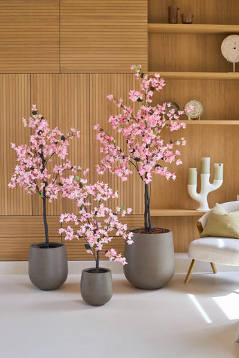 Drei künstliche Bougainvilleen von 180 cm, rosa Farbe und mit rosa Blüten, stehen vor hölzernen Wandregalen, neben einem modernen weißen Stuhl mit Kissen.