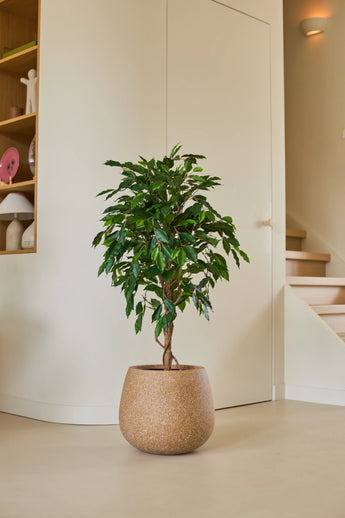 Eine künstliche Ficus Green-Pflanze von 120 cm mit glänzend grünen Blättern steht auf einem hellen Boden in einem modernen, minimalistischen Raum, in der Nähe einer Holztreppe und Regalen, die mit dekorativen Gegenständen dekoriert sind.