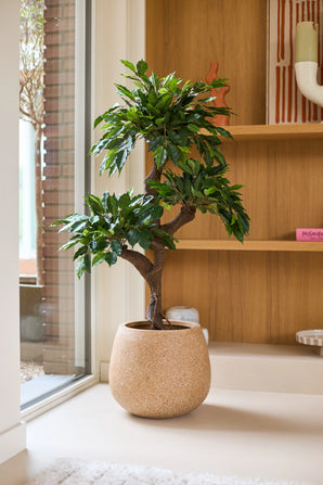 Eine künstliche Ficus-Crazy-Pflanze mit einer Größe von 120 cm und üppigen grünen Blättern wird im Innenbereich in der Nähe eines Fensters neben Holzregalen mit Dekorationsgegenständen und bunten Ziertöpfen platziert. In der Mitte dieses Arrangements verleiht diese einzigartige farbige Pflanze der gemütlichen Atmosphäre einen zusätzlichen Hauch von Charme.