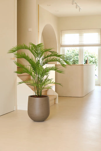 Eine 160 cm große Kunstpflanze Phönix steht auf einem hellen Boden in einem hellen, modernen Raum mit großen Fenstern, cremefarbenen Wänden und minimalistischem Dekor – und verleiht Ihrem luxuriösen Interieur den Charme tropischer Pflanzen.