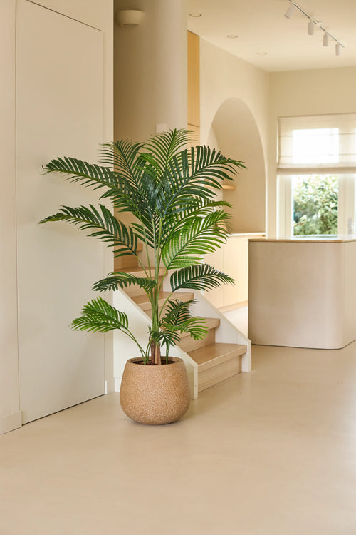 Eine 160 cm große Kunstpflanze „Phoenix“ steht auf einem hellen Boden in einem modernen, minimalistischen Raum mit sanftem Tageslicht, geschwungenen Architekturelementen und neutralen Farbtönen – eine mühelose Innenaufwertung, die den Charme tropischer Pflanzen ins Haus bringt.