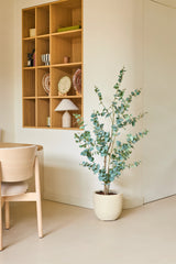 Ein minimalistischer Raum mit hellen Holzmöbeln, einer 150 cm großen künstlichen Eukalyptuspflanze auf dem Boden und einem offenen Wandregal aus Holz, auf dem Geschirr und eine Lampe ausgestellt sind. Neutrale Farben und klare Linien schaffen eine ruhige, luftige Atmosphäre.