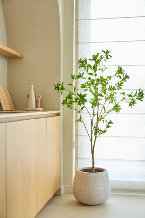 Eine künstliche Pieris Japonica-Pflanze von 150 cm Höhe steht neben einem Fenster mit durchscheinenden Vorhängen in einer modernen, minimalistischen Küche mit hellen Holzschränken und neutralen Farbtönen.