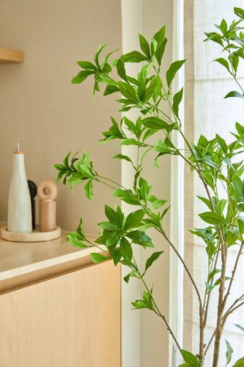 Eine 150 cm große künstliche Pflanze vom Typ Pieris Japonica steht an einem Fenster neben einem hellen Holzschrank, in dem sich Keramikflaschen und eine Pfeffermühle befinden, und verleiht dem hellen, luftigen Raum eine minimalistische Note.