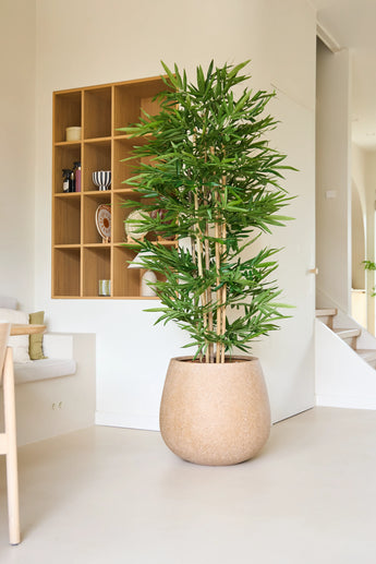 Die Kunstpflanze Bambus 180 cm steht mit ihrer hohen Statur und den schlanken grünen Blättern in einem modernen, minimalistischen Raum mit hellen Wänden, offenen Regalen und neutralem Dekor.