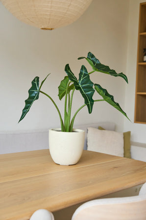 Die 80 cm große künstliche Alocasia-Pflanze mit großen grünen Blättern steht auf einem hellen Holztisch in einem minimalistischen Raum mit sanfter Beleuchtung und neutralem Dekor.