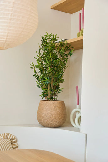 Eine 90 cm große Kunstpflanze Bamboo Deluxe steht auf einem weißen Regal neben zwei gedrechselten rosa Kerzen und Holzbrettern; ein runder Lampenschirm und ein gestreiftes Kissen sind teilweise sichtbar.