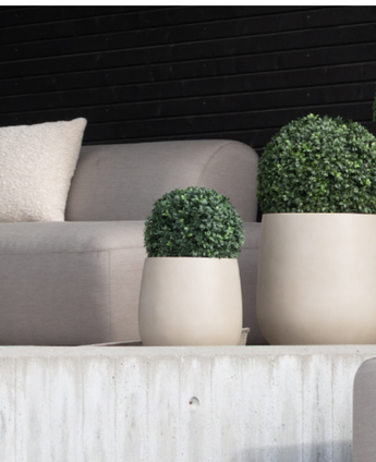Ein moderner Sitzbereich im Freien mit einem hellgrauen Sofa, beigem Kissen und zwei künstlichen Buchsbaum-Rundtopfpflanzen im römischen UV-Stil (D30 cm) auf einem Betonvorsprung vor einer schwarzen horizontalen Lattenwand.