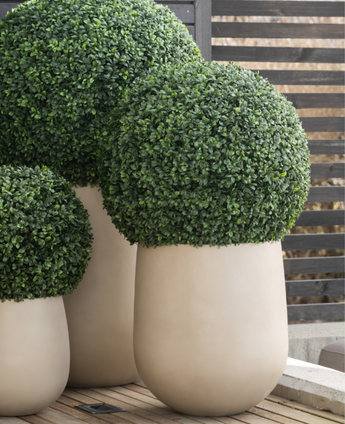 Drei große künstliche UV-Buchsbäume im römischen Stil, D55 cm, mit dichtem, sauber beschnittenem grünem Blattwerk in weißen runden Pflanzgefäßen, stehen auf einer Holzterrasse mit einem modernen Holzlattenzaun im Hintergrund.