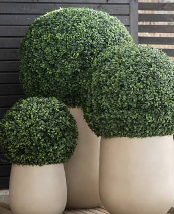 Drei große Kunstpflanzen-Buchsbaum-UV-Töpfe im römischen Stil (D65 cm) präsentieren ein sauber beschnittenes, kugelförmiges grünes Formgehölz vor einem Hintergrund aus dunklen Holzlatten auf einem Holzboden.