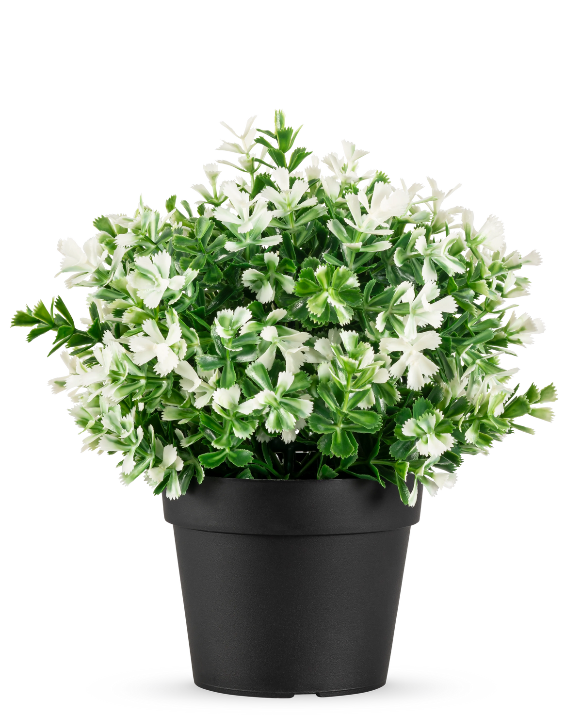Die Kunstpflanze Vierblättriges Kleeblatt weiß UV 22 cm ist ein schwarzer Blumentopf mit künstlichen grünen Blättern und kleinen weißen Blüten auf einem schlichten weißen Hintergrund.