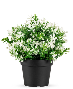 Die Kunstpflanze Vierblättriges Kleeblatt weiß UV 22 cm ist ein schwarzer Blumentopf mit künstlichen grünen Blättern und kleinen weißen Blüten auf einem schlichten weißen Hintergrund.