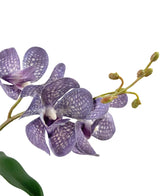 Eine Nahaufnahme der künstlichen violetten Orchidee Ascocenda (50 cm) zeigt violette Blütenblätter mit weißen Sprenkeln, mehrere Blüten und grüne Knospen an einem schlanken Stiel vor einem weißen Hintergrund.