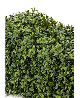 Eine dichte Ansammlung grüner Blätter der künstlichen Buchsbaumhecke UV 70x20x25 cm bildet eine üppige, belaubte Hecke vor einem schlichten weißen Hintergrund.