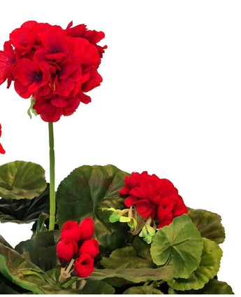 Die künstliche Geranie 40 cm rot hat leuchtend rote Kunstblumen mit sattgrünen runden Blättern vor einem weißen Hintergrund – ideale Kunstpflanzen, um Ihrer Inneneinrichtung lebendige Farbe zu verleihen.