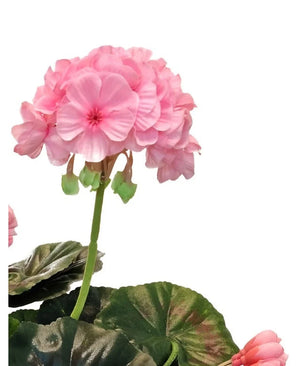 Eine Nahaufnahme der künstlichen Geranie 40 cm rosa, mit lebensechten rosa Blütenbüscheln und grünen Blättern vor einem weißen Hintergrund, der die realistische Schönheit dieser künstlichen Pflanze hervorhebt.