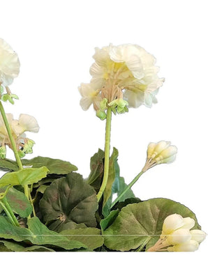 Eine Nahaufnahme der künstlichen Geranie 40 cm weiß, mit hellweißen Kunstblumen mit grünen Blättern vor einem schlichten weißen Hintergrund.