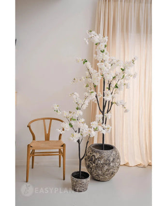 Ein minimalistischer Raum mit einem Holzstuhl, beigen Vorhängen und zwei künstlichen Kirschblüten 120 cm weiß mit weißen Blüten in einem Topf – einer in einem grauen Topf mit Struktur und der andere in einem schwarzen Topf.