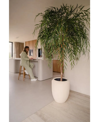Ein künstlicher Weidenbaum 210 cm steht im Vordergrund einer hellen, minimalistischen Küche. Im Hintergrund sitzt eine Person in Hellgrün auf einem Barhocker am Tresen und arbeitet an einem Laptop.