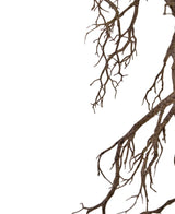 Der Kunstdekorationszweig 118 cm verlängert dünne, blattlose Zweige von oben rechts vor einem weißen Hintergrund und bildet ein kompliziertes natürliches Muster mit negativem Raum auf der linken Seite.