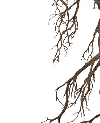 Der Kunstdekorationszweig 118 cm verlängert dünne, blattlose Zweige von oben rechts vor einem weißen Hintergrund und bildet ein kompliziertes natürliches Muster mit negativem Raum auf der linken Seite.