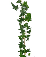 Die künstliche Hängepflanze Ivy Boston Garland 180 cm grün ist ein naturgetreuer grüner Efeu mit spitzen Blättern, der vor einem weißen Hintergrund vertikal emporklettert.