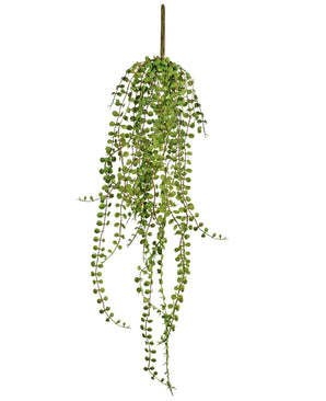 Die künstliche Hängepflanze Sukkulente 71 cm hat lange, hängende grüne Stängel mit kleinen, runden Blättern, die sich perfekt für die Präsentation vor einem weißen Hintergrund eignen.