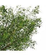 Der künstliche Olivenbaum 270 cm mit Oliven hat schmale grüne Blätter und dunkle Oliven und ist somit die perfekte Kunstpflanze, um Ihrem Raum einen eleganten Olivenbaum-Look zu verleihen.