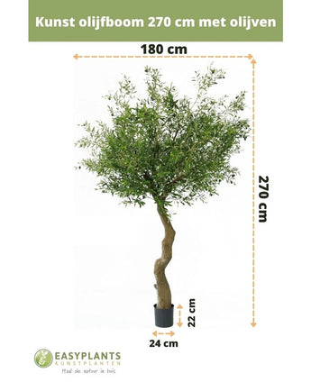 Künstlicher Olivenbaum 270 cm mit Oliven, 180 cm breit, im Topf (22x24 cm), ideal als Indoor-Olivenbaum. Dargestellt auf weißem Hintergrund mit niederländischen Größenetiketten. Perfekte Kunstpflanze für jedes Interieur.