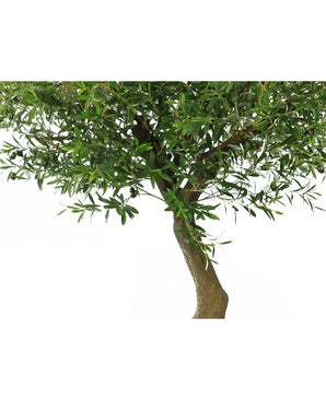 Eine Nahaufnahme des künstlichen Olivenbaums 270 cm mit Oliven zeigt den Stamm mit dichten grünen Blättern und Zweigen vor einem weißen Hintergrund.