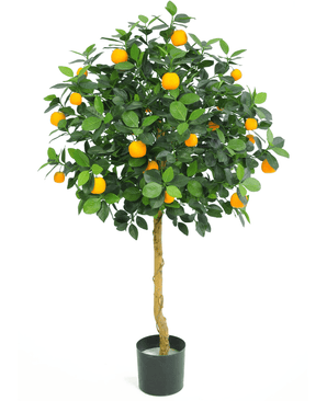 Der künstliche Orangenbaum 120 cm hat einen einzigen gedrehten Stamm, dichte grüne Blätter und leuchtend orangefarbene Früchte. Der farbechte Kunststoffbaum präsentiert sich wunderschön vor einem weißen Hintergrund.