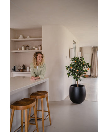 Eine Frau mit blonden Locken lächelt hinter einer Theke mit zwei Holzhockern. Der künstliche Orangenbaum 120 cm im Topf verleiht dem modernen, minimalistischen Raum, der in neutralen Farbtönen dekoriert ist, Charme.