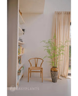Neben einem 120 cm hohen künstlichen Farn in einem Topf steht ein Holzstuhl, daneben cremefarbene Vorhänge und eine Wand mit Regalen voller Bücher und Dekorationen. Sonnenlicht erhellt den minimalistischen Raum, in dem stilvolle Zimmerpflanzen wie der Kunstfarn für einen Hauch von Natur-inspirierter Ruhe sorgen.
