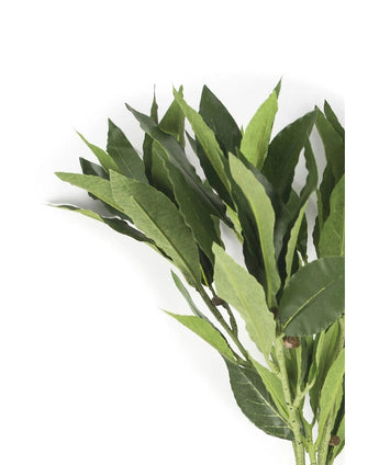 Das künstliche Lorbeerblatt 50 cm grün hat frische grüne Blätter auf Zweigen vor einem weißen Hintergrund und eignet sich daher perfekt, um jedem Dekor die Eleganz künstlicher Blumen zu verleihen.