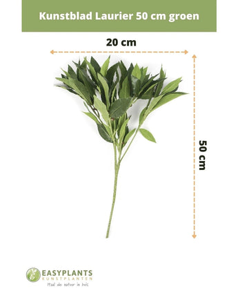 Künstliches Lorbeerblatt, 50 cm, grünes Kunstblumendekor, 50 cm hoch und 20 cm breit, auf weißem Hintergrund mit Abmessungen dargestellt. Perfekt für jedes Interieur. Easyplants-Logo unten.