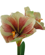 Een close-up van de Kunstbloem Amaryllis Real Touch Rood/geel 48 cm toont de levendige rode en gele bloemblaadjes, levensechte textuur en groene bladeren tegen een witte achtergrond.