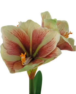 Een close-up van de Kunstbloem Amaryllis Real Touch Rood/geel 48 cm toont de levendige rode en gele bloemblaadjes, levensechte textuur en groene bladeren tegen een witte achtergrond.