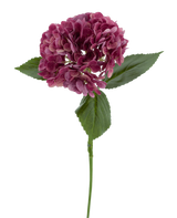 Die künstliche Blume Charlotte Hydrangea Real Touch lila 55 cm hat einen einzelnen Stiel einer lila Hortensie mit mehreren kleinen Blütenblättern und grünen Blättern vor einem schlichten weißen Hintergrund.