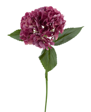 Die künstliche Blume Charlotte Hydrangea Real Touch lila 55 cm hat einen einzelnen Stiel einer lila Hortensie mit mehreren kleinen Blütenblättern und grünen Blättern vor einem schlichten weißen Hintergrund.